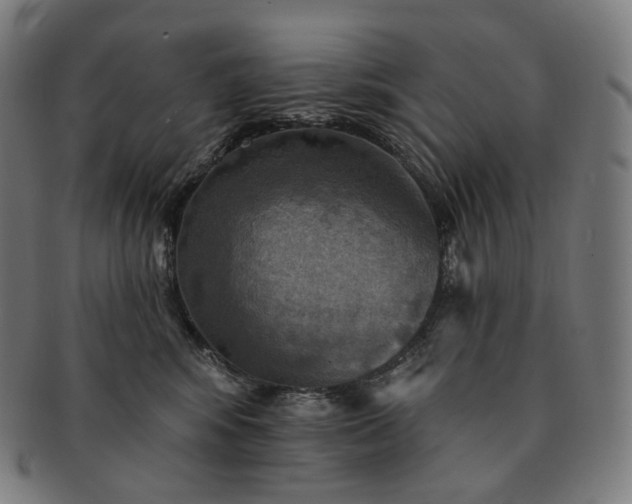 X0000091290424200708241033