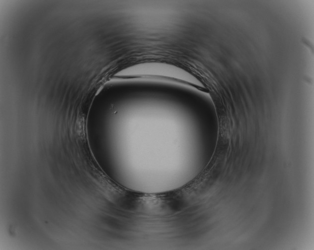 X0000091290425200708241033