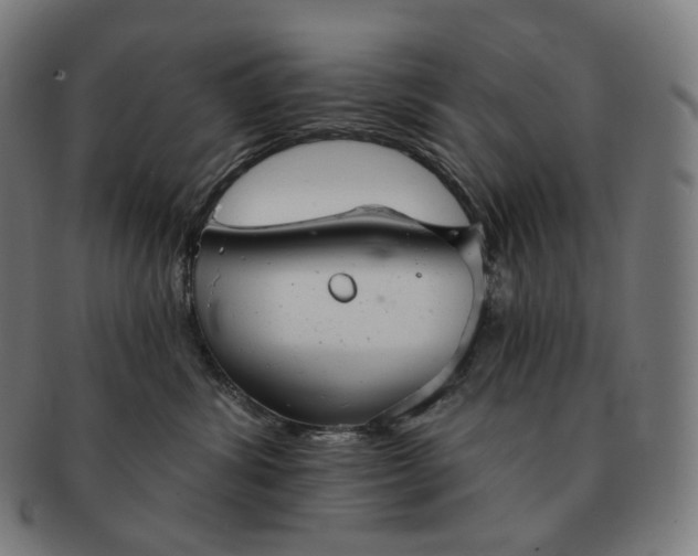 X0000091290428200708241033