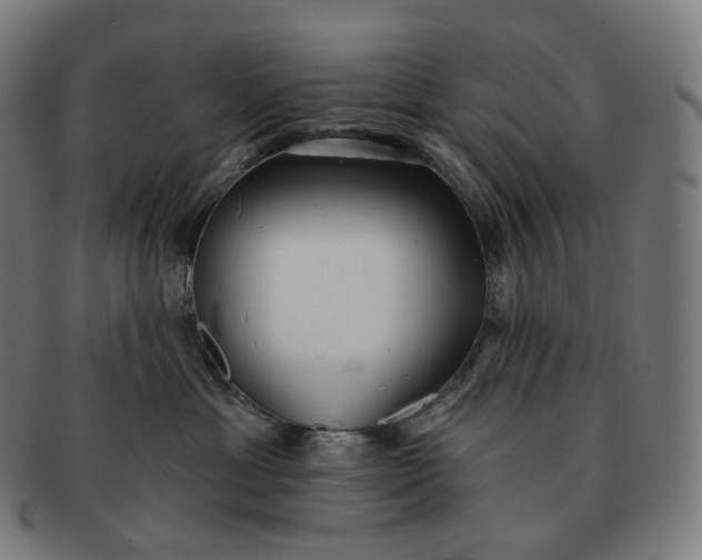 X0000091290429200708241033