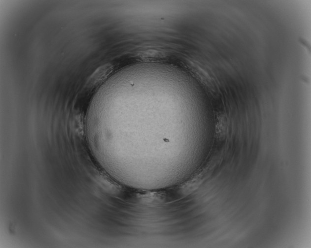 X0000091290430200708241033