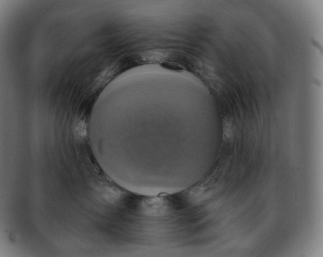 X0000091290431200708241033