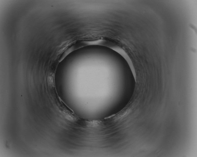 X0000091290432200708241033