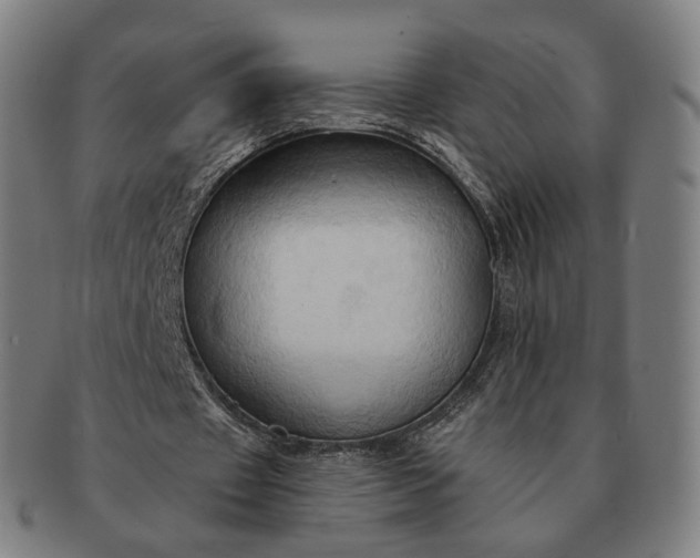 X0000091290433200708241032