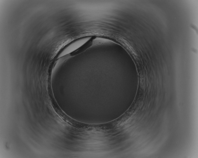 X0000091290434200708241032