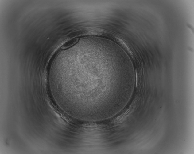 X0000091290435200708241032