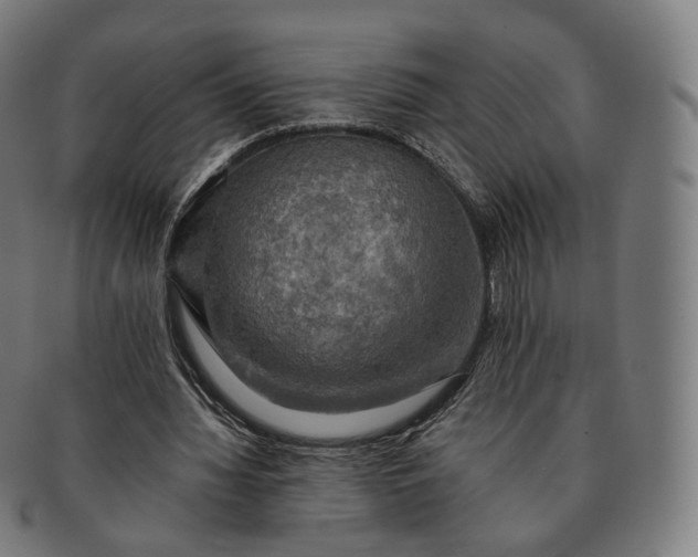 X0000091290436200708241032