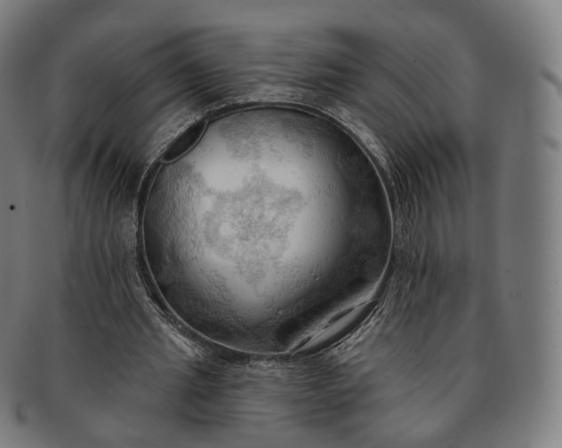 X0000091290437200708241032