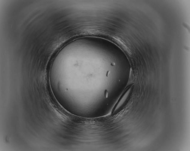 X0000091290439200708241032