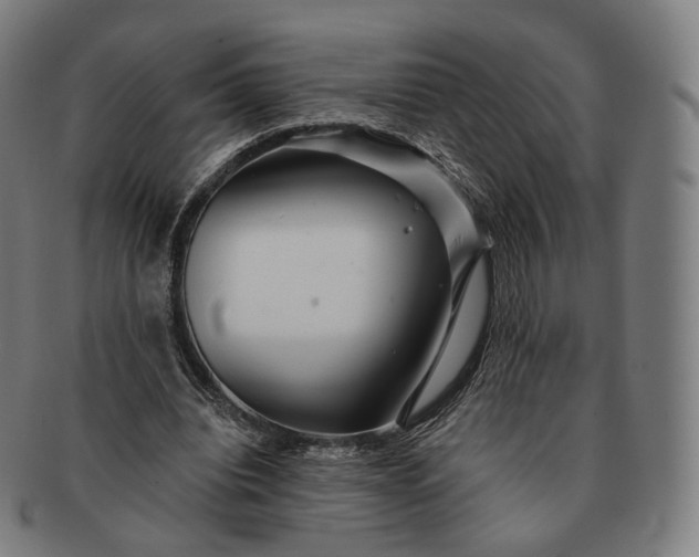 X0000091290440200708241032