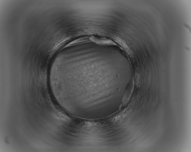 X0000091290442200708241032