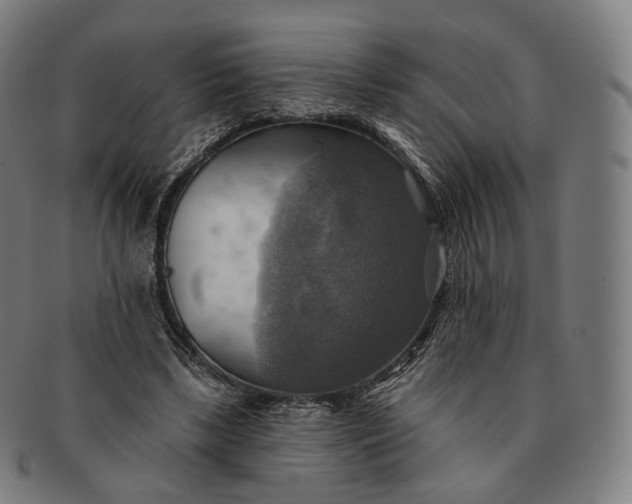 X0000091290443200708241032