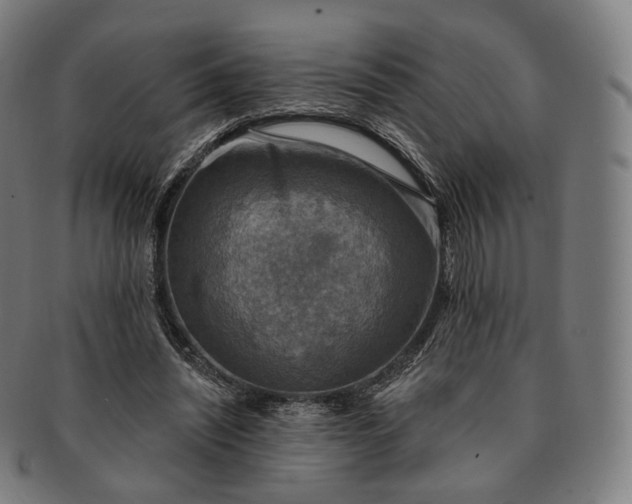 X0000091290444200708241033