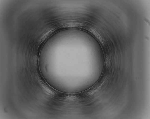 X0000091290445200708241033