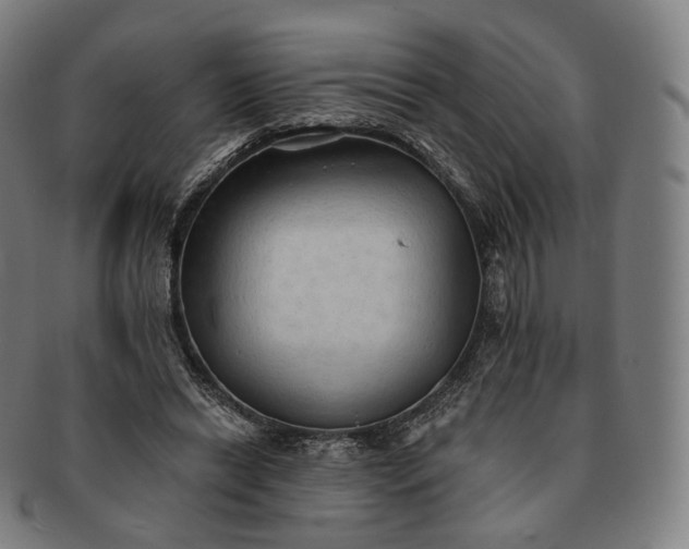 X0000091290446200708241033