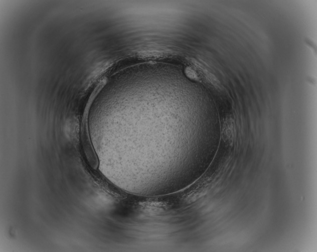 X0000091290448200708241033