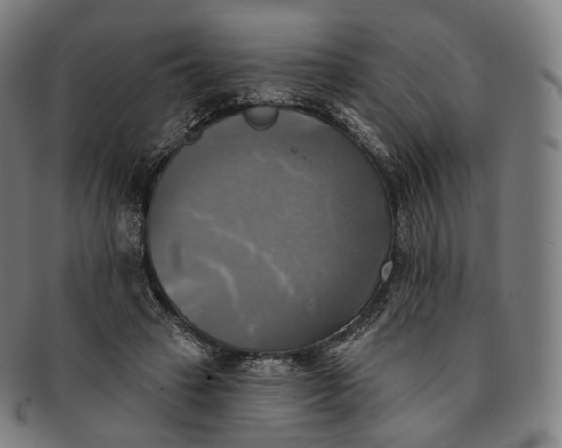 X0000091290449200708241033