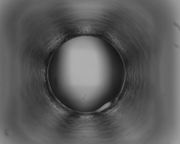 X0000091290450200708241033