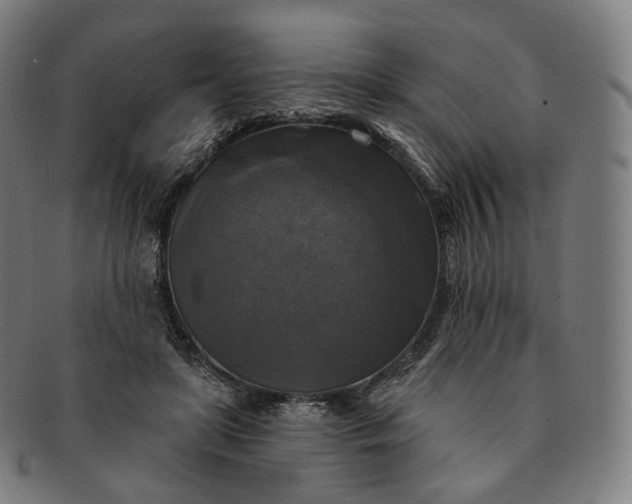 X0000091290451200708241033