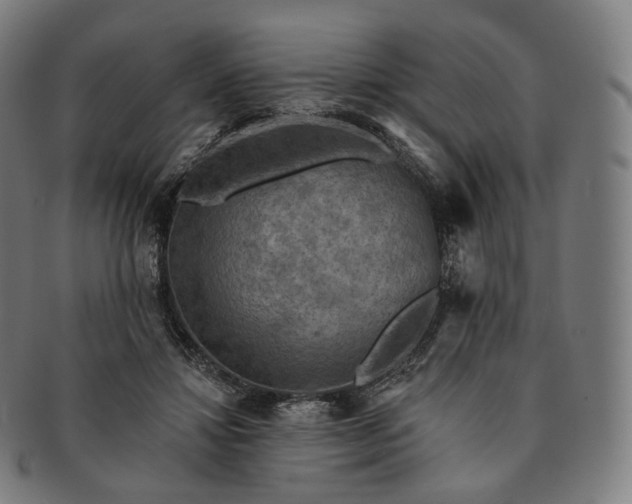 X0000091290452200708241033