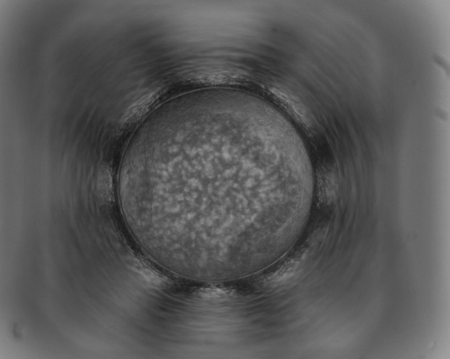 X0000091290453200708241033