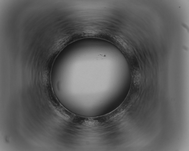 X0000091290455200708241033