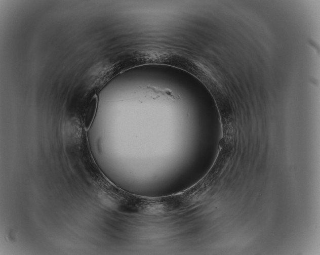 X0000091290456200708241033