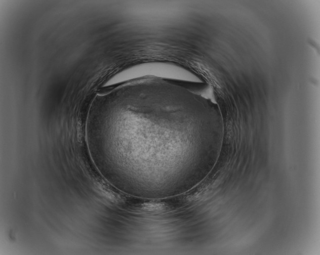 X0000091290457200708241033