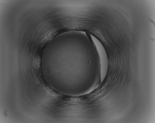 X0000091290458200708241033