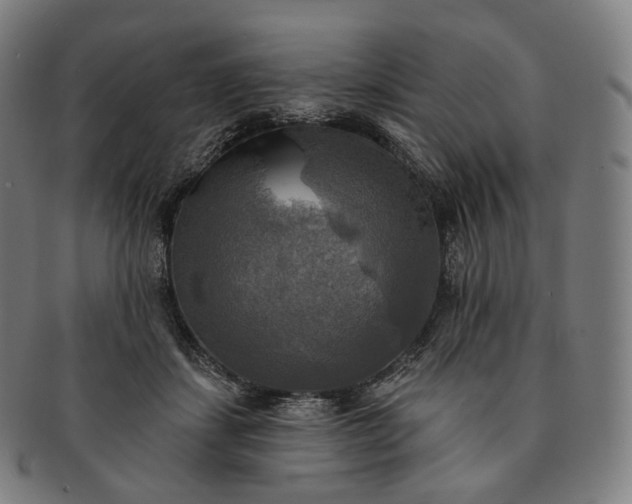 X0000091290459200708241033