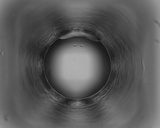 X0000091290460200708241033