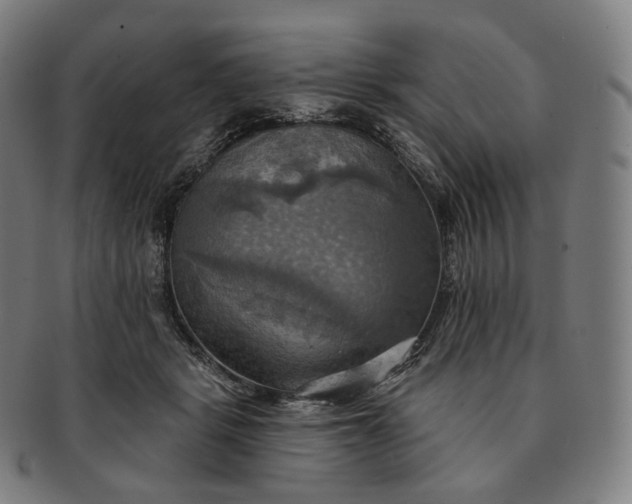 X0000091290461200708241033