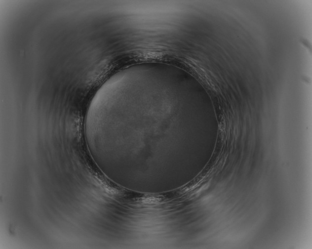 X0000091290462200708241033