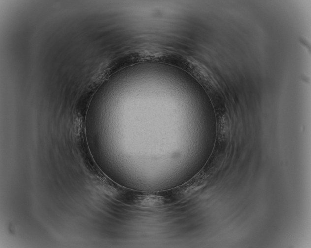 X0000091290463200708241033