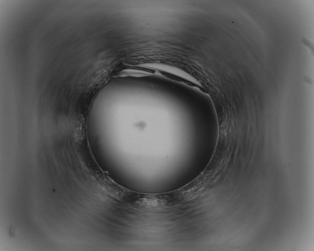 X0000091290464200708241033