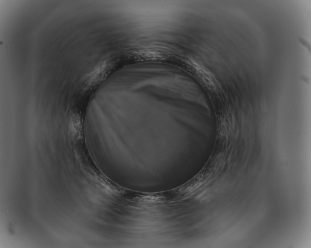 X0000091290465200708241033