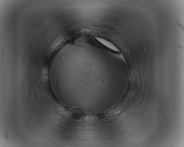 X0000091290466200708241033