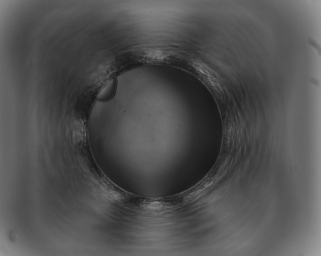 X0000091290467200708241033