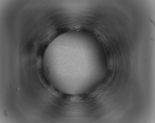 X0000091290468200708241033