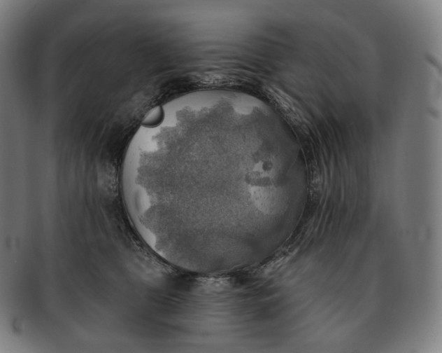 X0000091290469200708241033