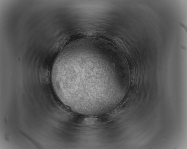 X0000091290470200708241033