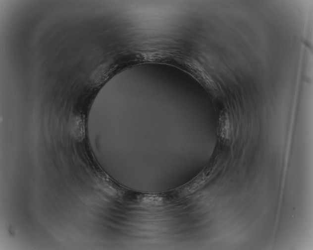 X0000091290471200708241033