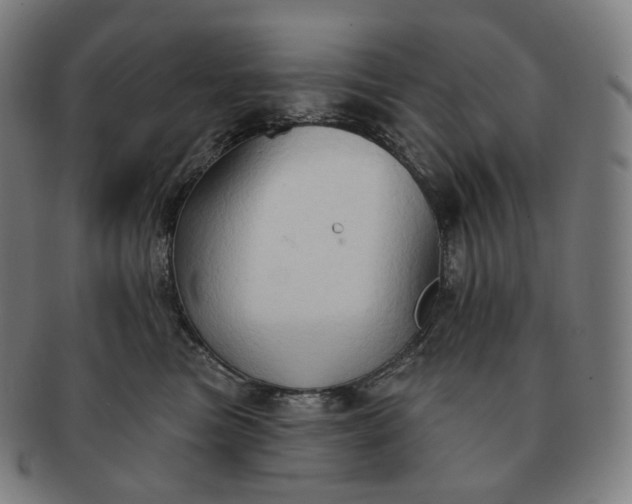 X0000091290473200708241033