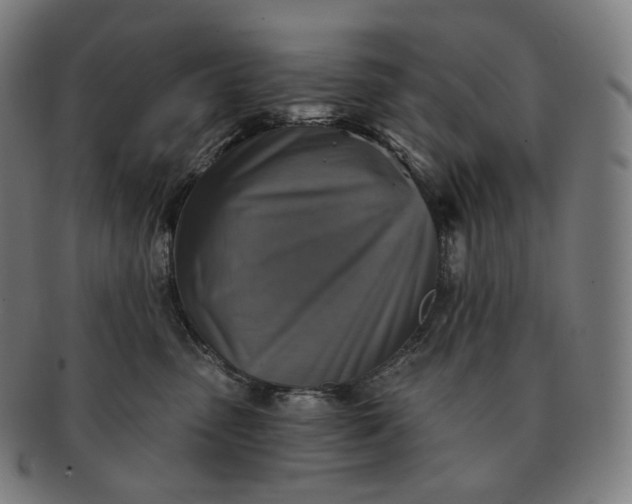 X0000091290475200708241033