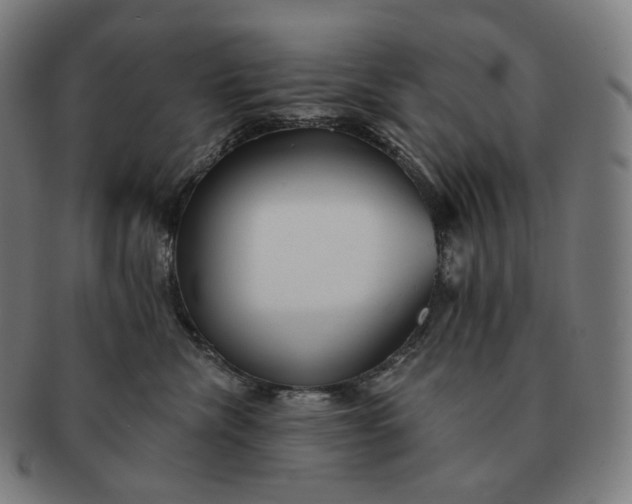 X0000091290476200708241033