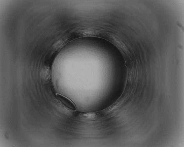 X0000091290478200708241033