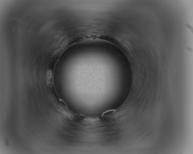 X0000091290480200708241033