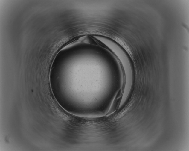 X0000091290481200708241032