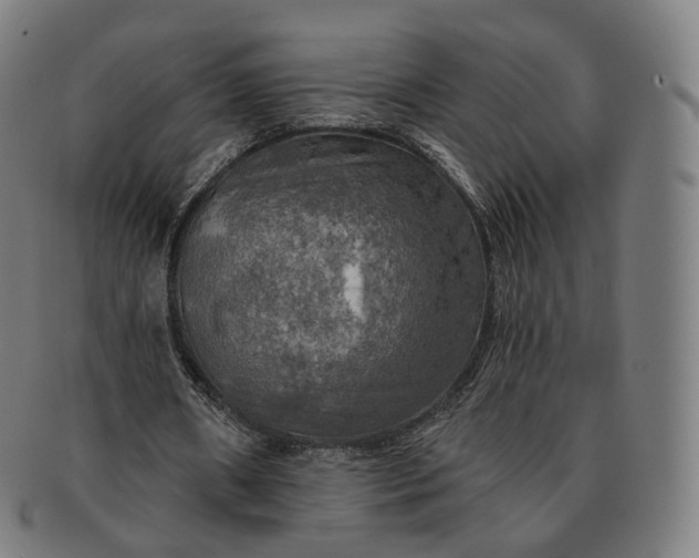 X0000091290482200708241032