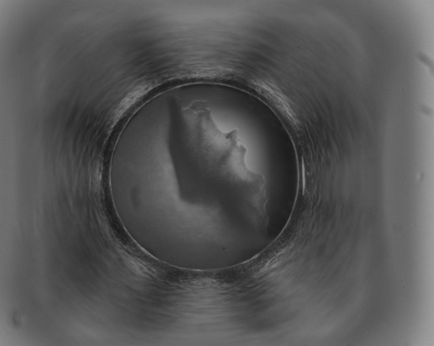 X0000091290483200708241032